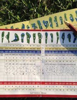 Handicap Là Gì? Cách Tính Handicap Golf Chuẩn Từ Tour Pro