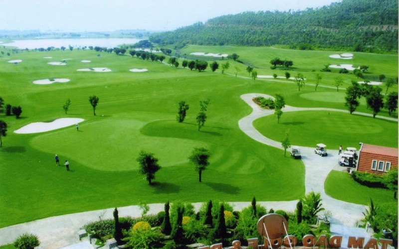 Thảm cỏ xanh "được lòng" nhiều golfer
