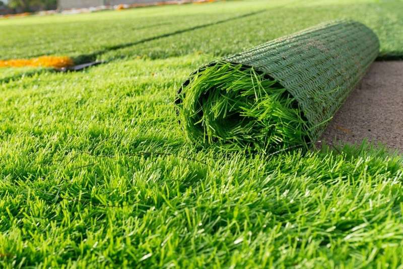 Cỏ Zoysia mọc thành từng khối dày, phù hợp với nhiều sân golf