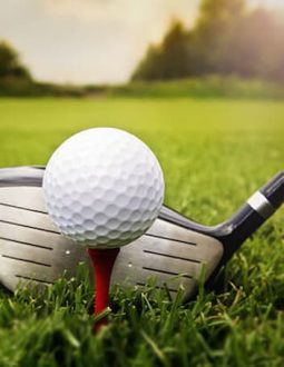Tee Golf Là Gì? Phân Biệt Các Loại Tee Và Công Dụng Trong Golf