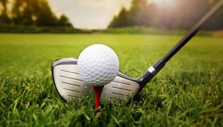 Tee Golf Là Gì? Phân Biệt Các Loại Tee Và Công Dụng Trong Golf