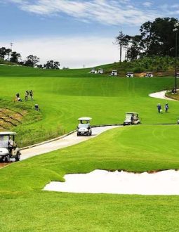 Hình ảnh sân golf FLC Quảng Ninh