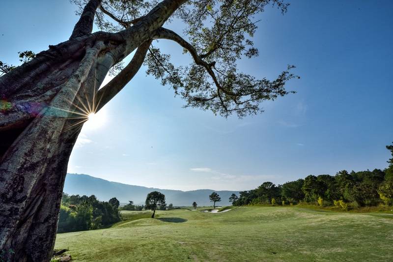 Cảnh quan tại sân golf cực ấn tượng