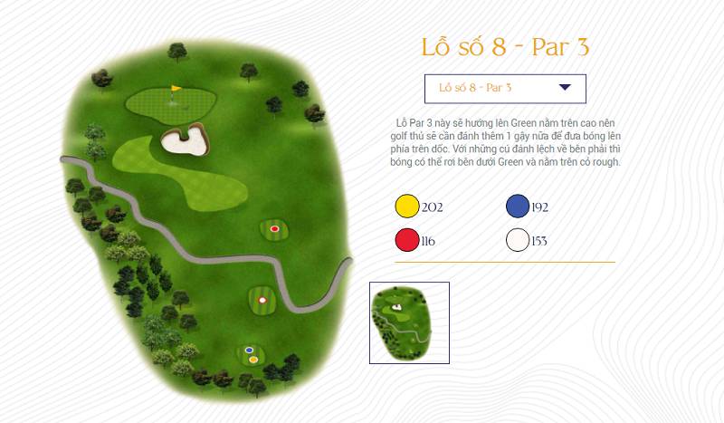 Hố 8 - par 3