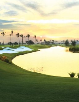 Hình ảnh sân gôn Vũ Yên