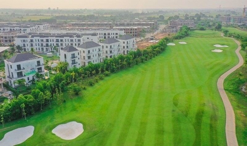 Cỏ được trồng là loại cỏ cao cấp