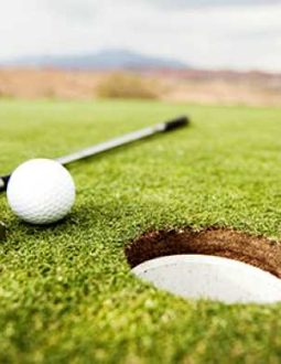 Green Trong Golf Là Gì? Luật Và Các Thuật Ngữ Liên Quan