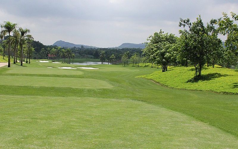 Sân được phủ xanh ấn tượng