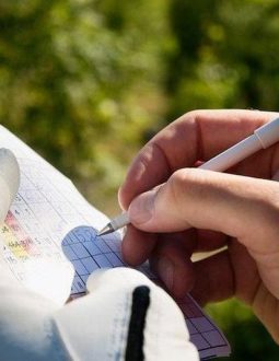 Hệ thống thuật ngữ dùng để tính điểm Net trong golf