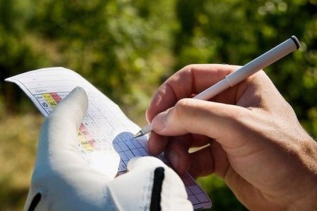 Hệ thống thuật ngữ dùng để tính điểm Net trong golf