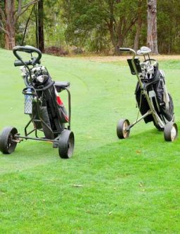 Một số lưu ý khi lựa chọn xe buggy