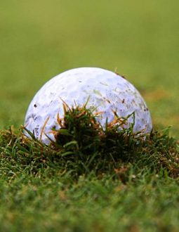 Luật Golf Bóng Lún Chuẩn Nhất Được Chia Sẻ Từ HLV Top Đầu