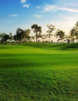 Sân Golf An Bình Thái Nguyên Với Các Hố Par Ấn Tượng, Đẳng Cấp