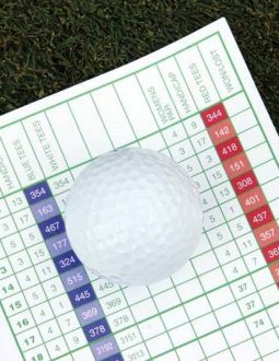 Single Trong Golf Là Gì? Làm Gì Để Nhanh Đạt Single Golf