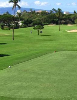 Tee Box Là Gì? Ý Nghĩa Của Từng Loại Tee Theo Đúng Luật Golf