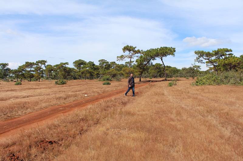 Địa điểm tổ chức nhiều giải đấu chuyên nghiệp