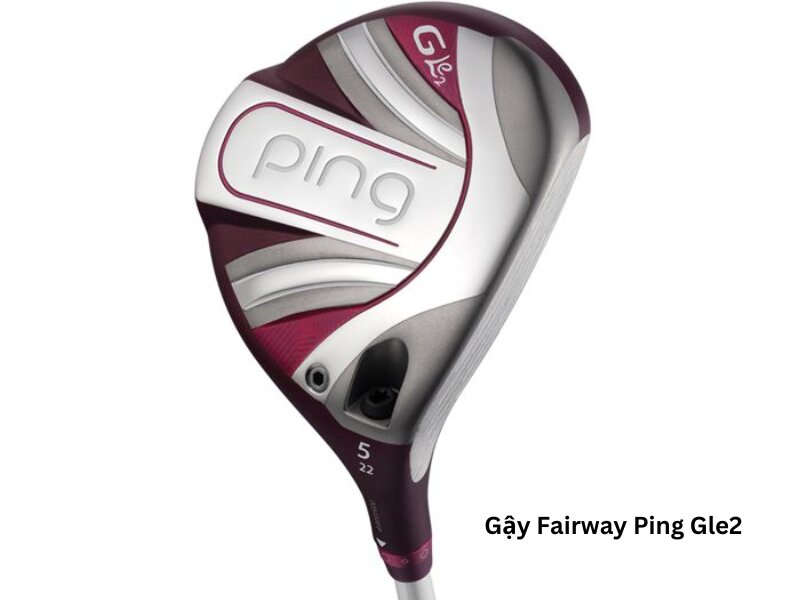 Gậy được thiết kế tỉ mỉ, cẩn thận với chất liệu hợp kim thép C300