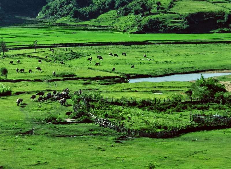 Sân golf sở hữu vị trí đắc địa