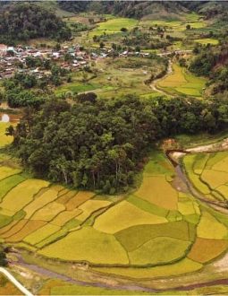 Sân golf nằm tại khu du lịch thị Trấn Măng Đen