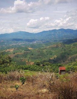 Hiện tại, chưa có ân golf Bảo Lộc nào được đi vào hoạt động