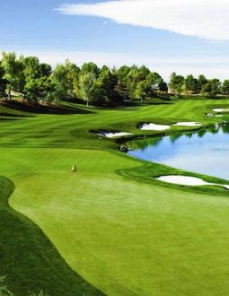 Sân tập golf FLC Quảng Ninh có thiết kế độc đáo, mang đến trải nghiệm thú vị cho golfer